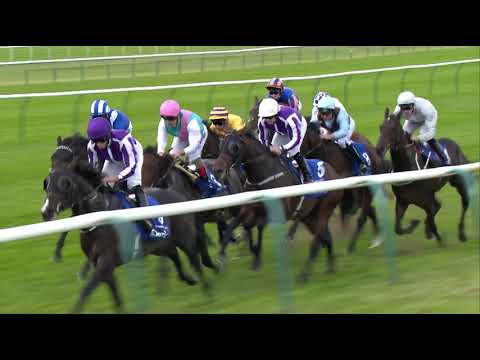 U S Navy Flag   Dewhurst Stakes Gr 1