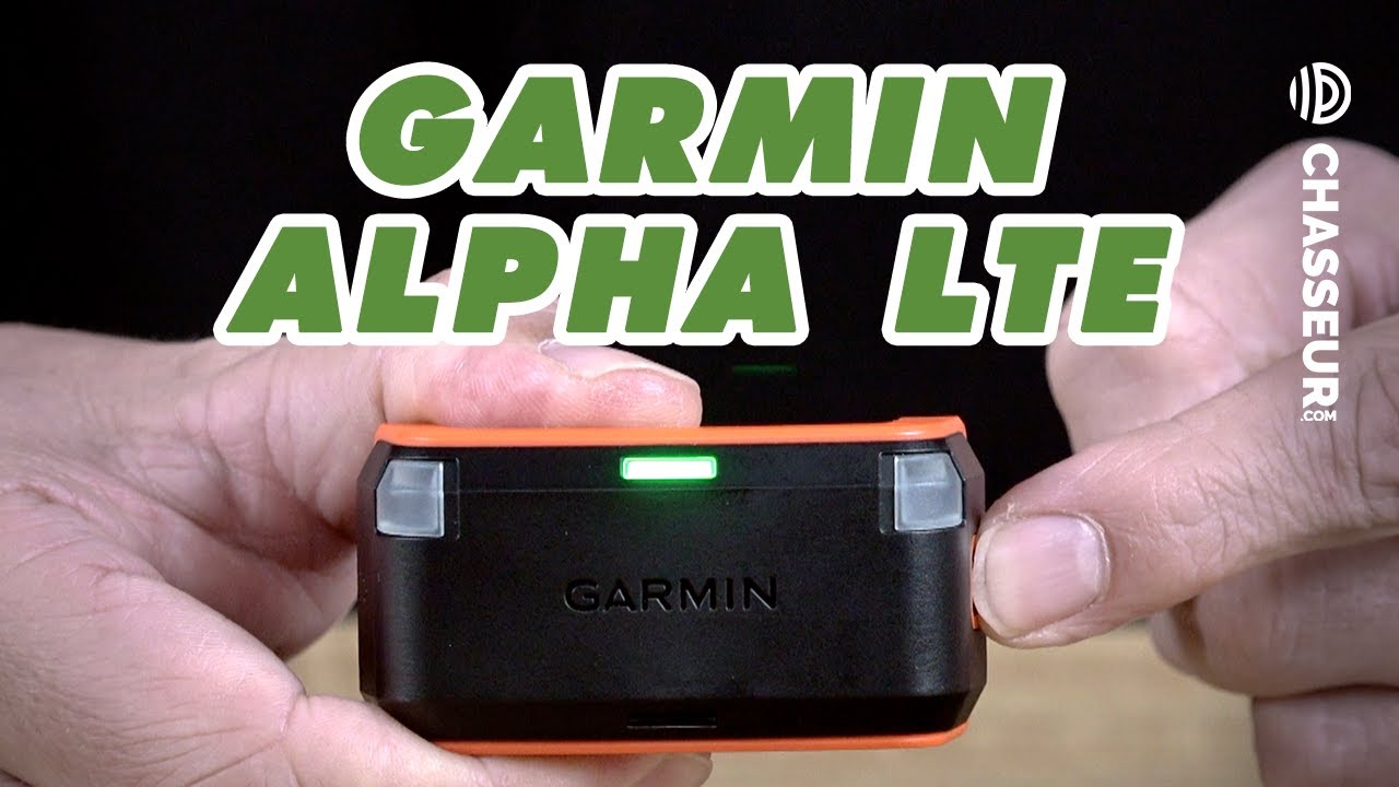 Pack Alpha Garmin 10F et collier GPS pour chien TT15F