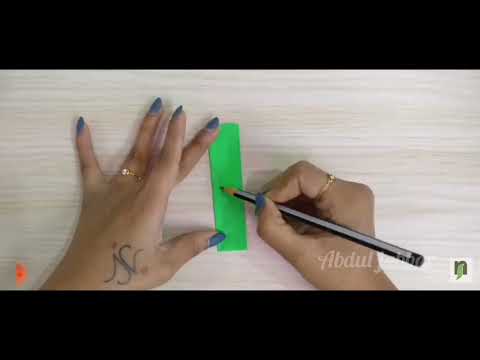 Beautiful peppers flowers 2022.