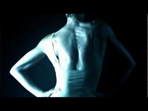 David Terranova - Body & Form Collection