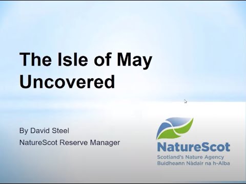 Meet the Scientist - David Steel - Life on the Isle of May
