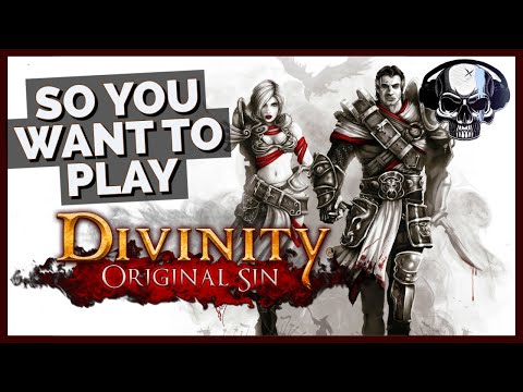 So You Want To Play Divinity: Original Sin...(New Player's Guide)
