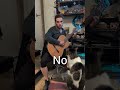 Does David do ANYTHING besides Work? #vlog #behindthescenes #music