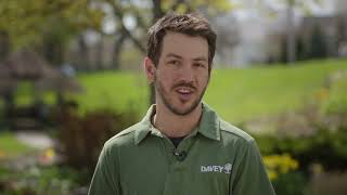 Early Signs of Tree Disease