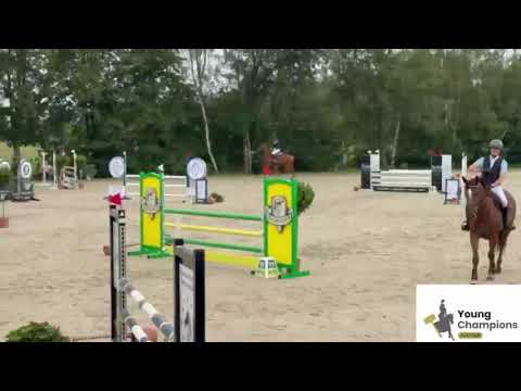 show video  2