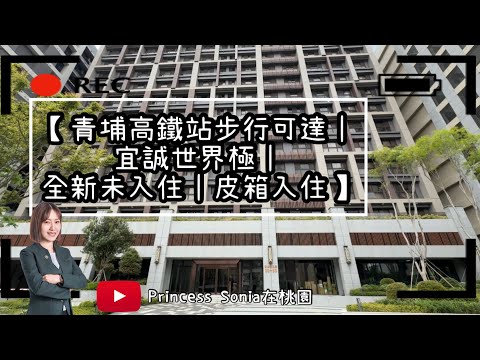 照片