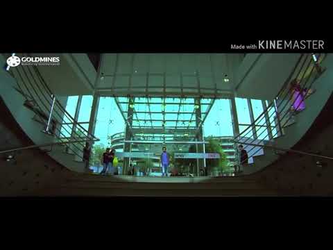 Betting Raja movie ki sabse superhit scene