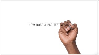 How does a COVID19 PCR test work