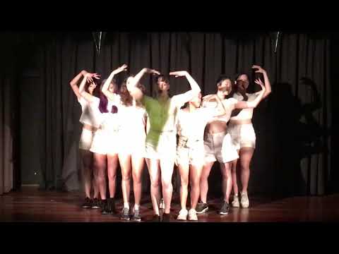 blackpink cover dance wonk