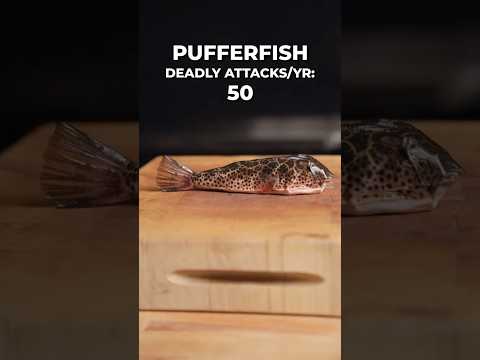 Cooking the World's DEADLIEST Animals
