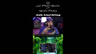 Ball Python & Snake Q&A