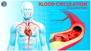 Cardiovascular System Overview| Circulatory Function 3D Animation