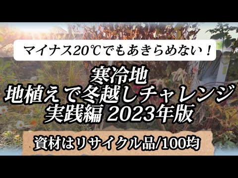 ゼラニウムの越冬時期と方法は？植物を寒さや霜から守るための手順  庭園