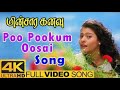 Poo Pookum Minsara Kanavu 1997 4K UHD Blu Ray Dolby Digital Plus DTS 5 1 948Kbps