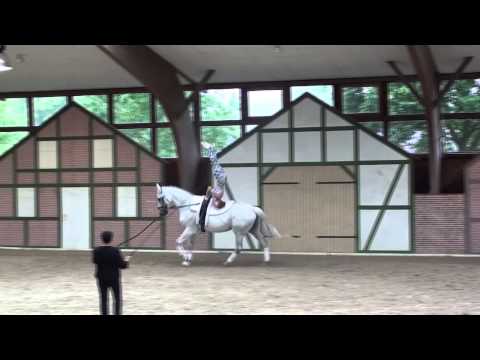 CVI Krumke 2014 - Laureen Groß Kür Sonntag