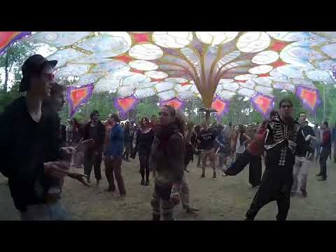 Logic Bomb - Live at Space Safari Festival. Amazing Set 2016