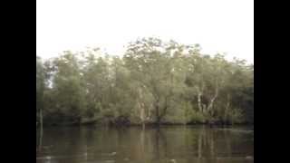 preview picture of video 'Borneo's Responsible Tourism-Teratak Wildlife Sanctuary 1.MPG'