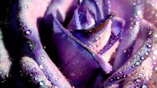 Listen To The Rain   Evanescence