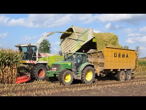 Claas Jaguar 900 Fieldshuttle - Loonw. Meganck-Haenebalcke - mais 2014