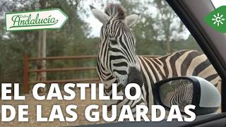 Thumbnail del capítulo