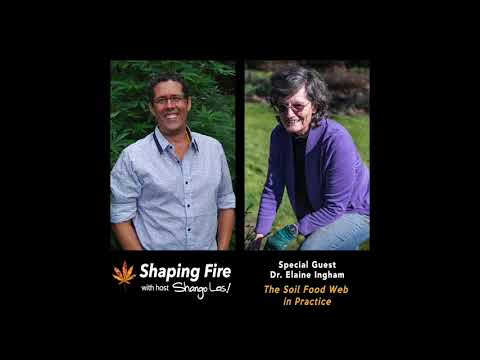 Shaping Fire Ep 102 - The Soil Food Web in Practice with special guest Dr. Elaine Ingham