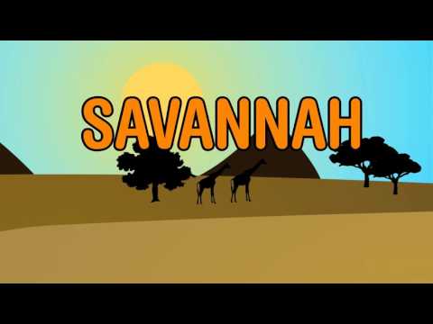 Diviners - Savannah (feat. Philly K) [Official Lyric Video]