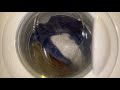 Zanussi Lion Washing Towels