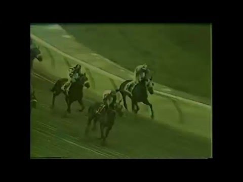 MI GULLITA - Primera Victoria - 7 diciembre 1988