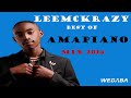LeeMckrazy best of Amapiano Mix 2024 | 29 May | Dj Webaba
