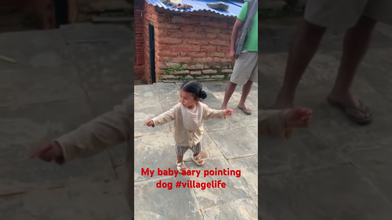 Baby girl pointing dog  and enjoying with her great grandmother in village