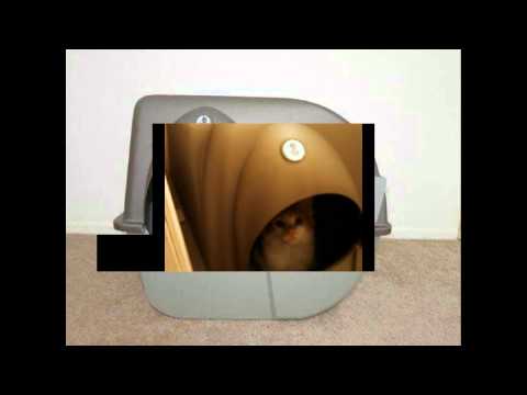 Omega Paw Self Cleaning Litter Box