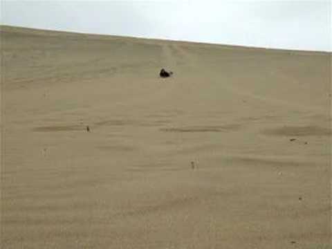 Happy Birthday Mhairi 1