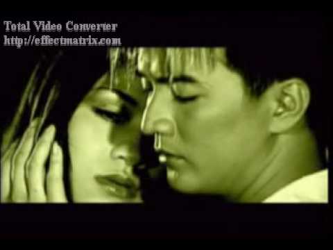 Dem lang thang-Dam Vinh Hung