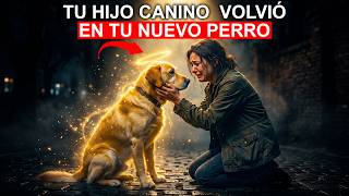 Señales de que Tu PERRO al Morir Reencarnó y Volvió a Ti