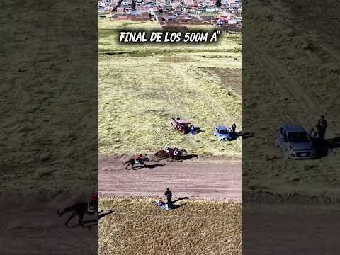 Carrerón de estos ejemplares en Canas - Cusco 2026🏇🫡 # #carreradecaballos #caballos #canas #ESPINAR