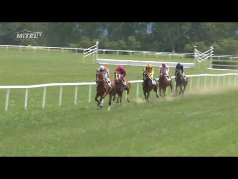 MI, 2. 6. 2018, 2. dostih - Cena firmy MAESTOSO Luna