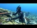 DEEP HUNT Walang Isda Sa MABABAW Kaya Sa MALALIM Nag HINTAY SpearfishingPhilippines Supportlocal