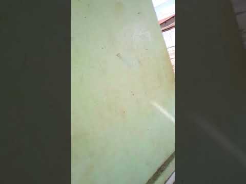 O palhaço assassino 2