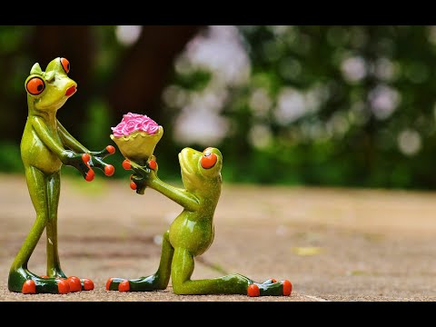 Forgiveness Offers Everything I Want - ACIM Lesson 122 - Steps to Forgiveness - Nonduality