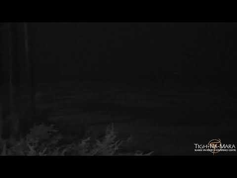 Videos and Live Webcam