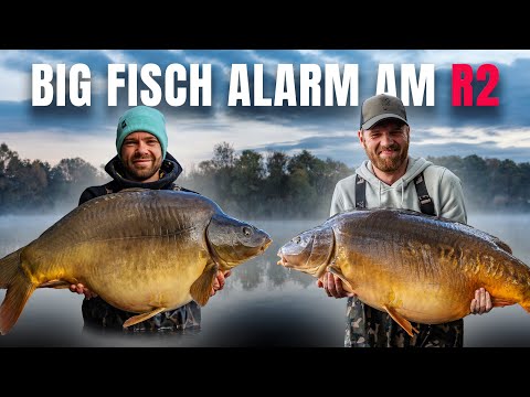 Two carp over 25 kilos in just 10 minutes 😱 | Carp fishing on the R2 in Austria 🇦🇹