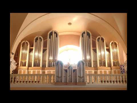 Traditional Italian Music- Tarantella Napoletana (Organ)