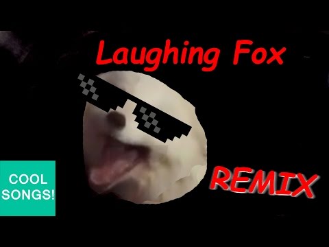 Archer The Laughing Fox REMIX