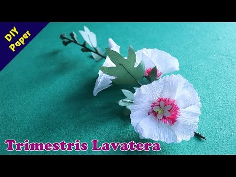 Instructions for making flowers from paper - Trimestris Lavatera- DIYPaper