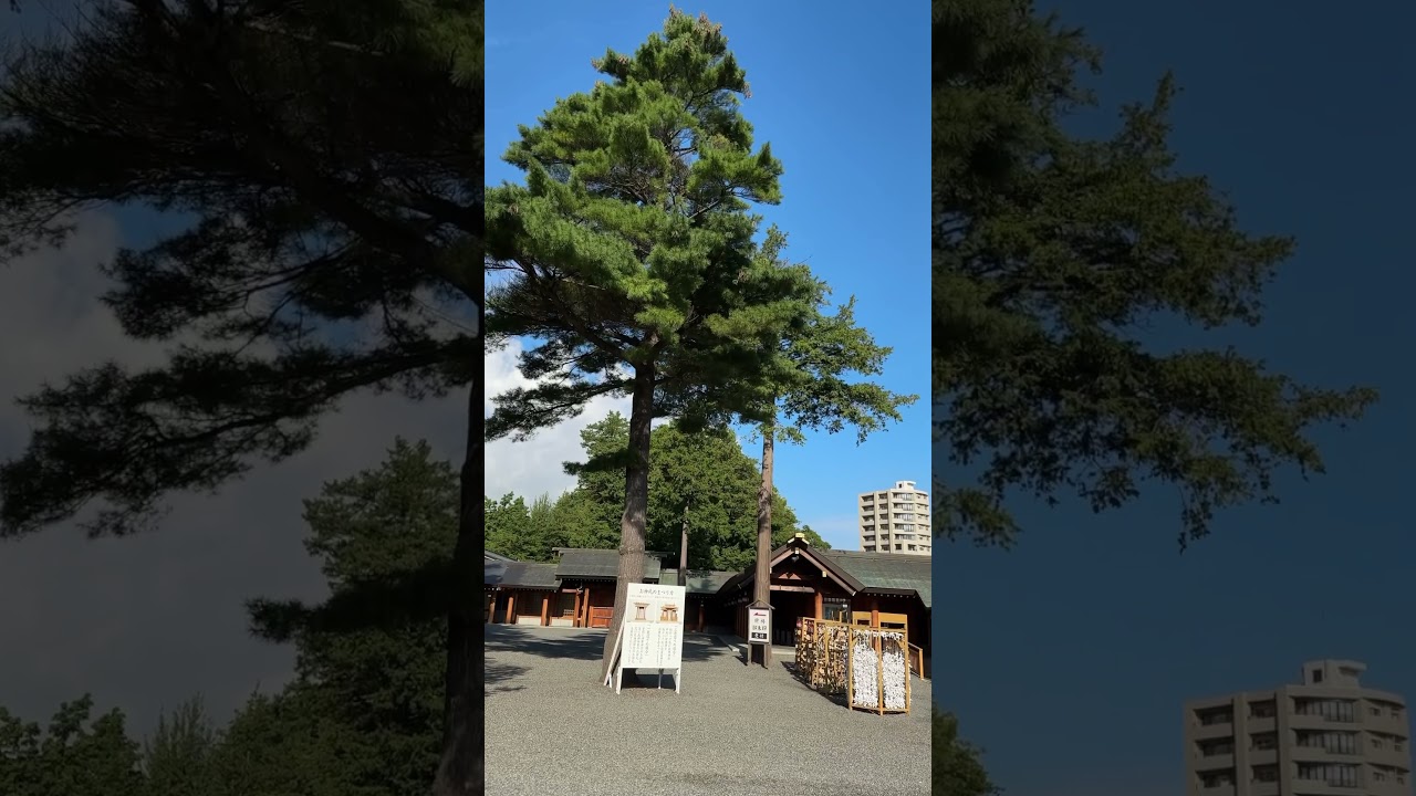 YouTube Short thumbnail