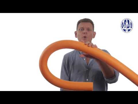 2.9 Folding of the embryo