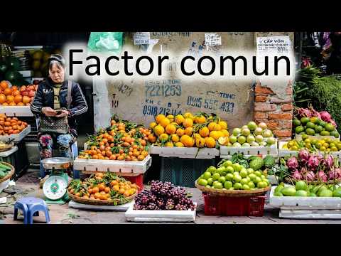 Factor comun, matematica clasa a V-a