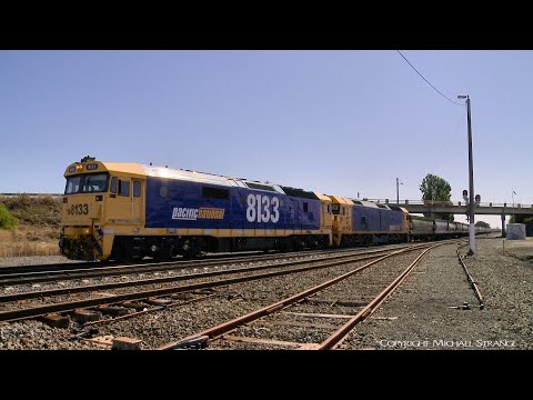 6KC6 Pacific National Grain Train (11/1/2021) - PoathTV Australian Railways