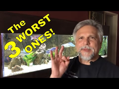 MY Top 3 Aquarium Disasters - These are ON ME!