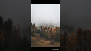 Download lagu Raad Mohammad Al Kurdi Surah Al Mulk mp3